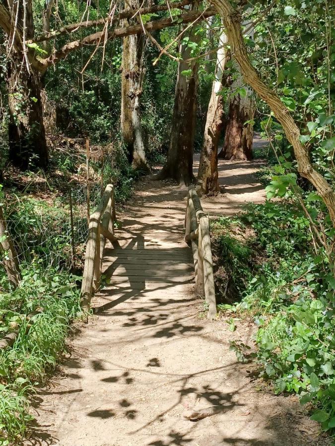 Casa Sendero Del Rio Villa El Bosque Kültér fotó