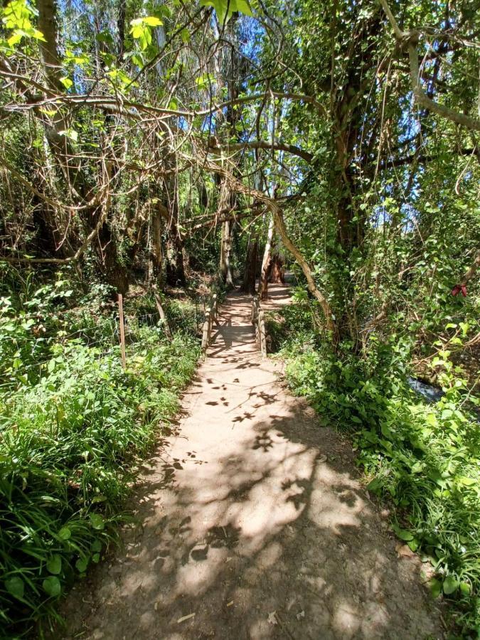 Casa Sendero Del Rio Villa El Bosque Kültér fotó