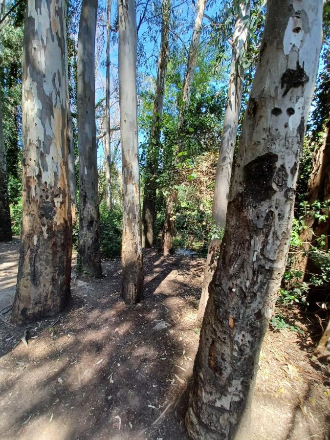 Casa Sendero Del Rio Villa El Bosque Kültér fotó
